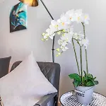 Medano4you Tejita Dream Penthouse Апартаменты *